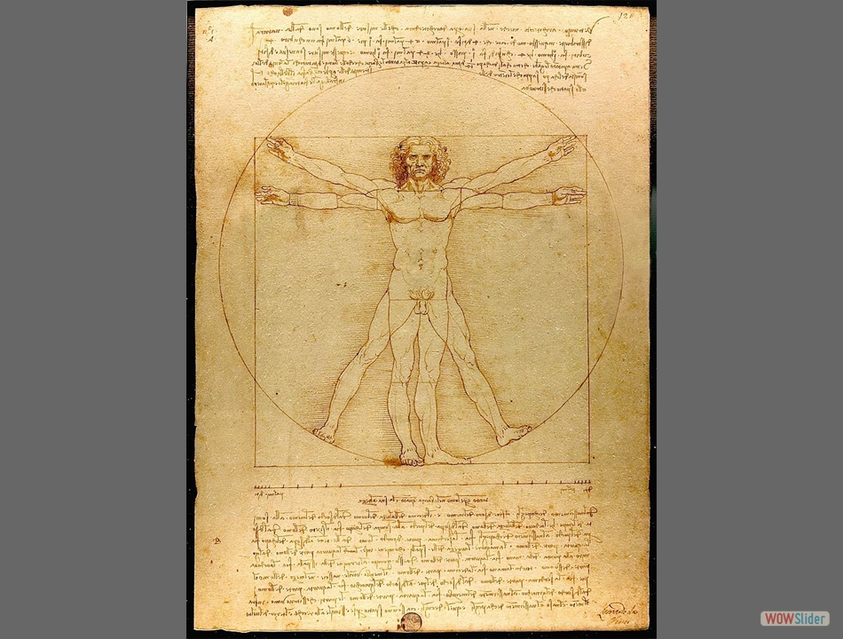 Da_Vinci_el hombre de vitubrio