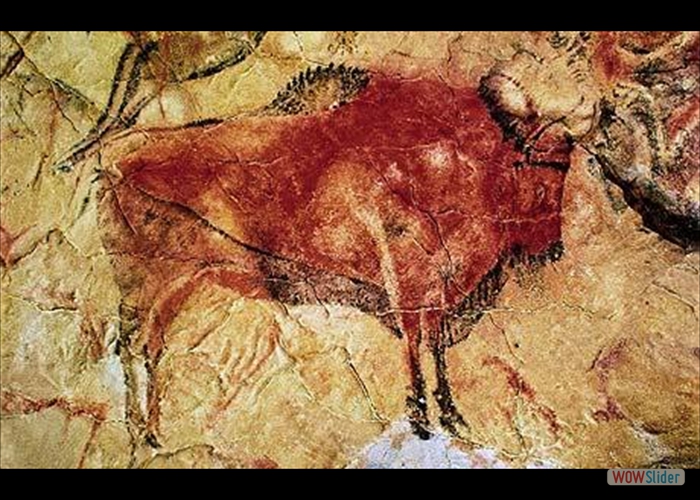 bisonte de Altamira