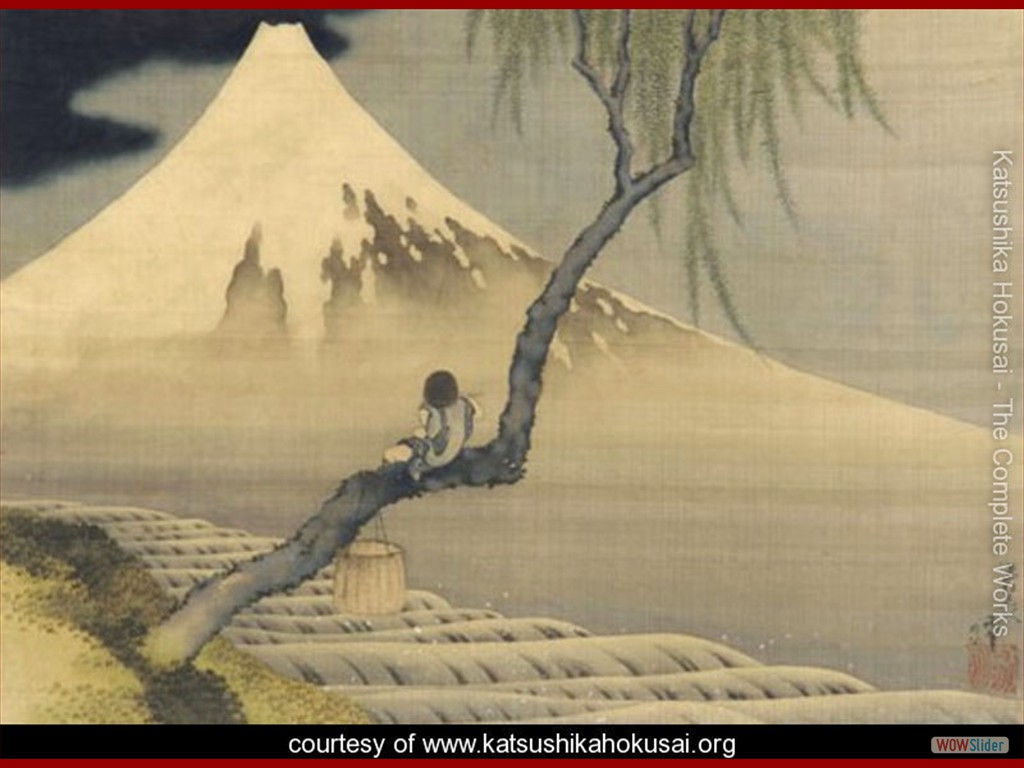 Boy-on-Mount-Fuji