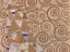 Expectation-Klimt