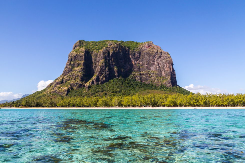 No hay muchas cosas que animen a levantarse de la arena en Mauricio, la mole rocosa de Le Morne Brabant (el triste Brabant) parece tan caída del cielo que sí está entre ellas. Además, desde su cima las vistas sobre las aguas color turquesa las hace aún más seductoras. La leyenda sobre su nombre asegura que un grupo de esclavos se lanzaron al vacío desde la cumbre al ver soldados coloniales subiendo por la ladera; creyeron que iban a someterles de nuevo cuando, en realidad, iban a anunciarles que la esclavitud había sido abolida y eran libres. Un sendero asciende por la parte trasera del monolito, y en un par de horas alcanza el mirador somital. Los tramos inferiores del camino atraviesan praderas y bosque primigenio hasta llegar a las primeras rocas escarpadas donde se hace necesaria la ayuda de cuerdas para progresar y el asesoramiento de guías.   trekkingmauritius.com 