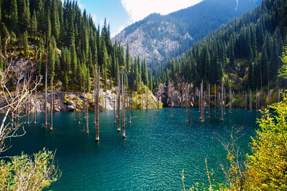 Las puntas de los abetos surgen como lanzas de la superficie del agua en el lugar donde quedó hundido todo un bosque tras un seísmo. El terremoto de Kebin, en 1911, provocó un deslizamiento de tierra en las montañas de Tian Shan, creando un dique natural que acabó formando este lago cristalino de 400 metros y sumergiendo parte del bosque. Se encuentra a 2000 metros de altitud, cerca de la frontera entre Kazajistán y Kirguistán. El bosque hundido, rodeado de aguas color turquesa y de montañas arboladas, le da un aire misterioso a este plácido lugar, y atrae a muchos conductores de la zona. Se puede llegar al lago en coche desde Almaty, a unos 280 kilómetros.
